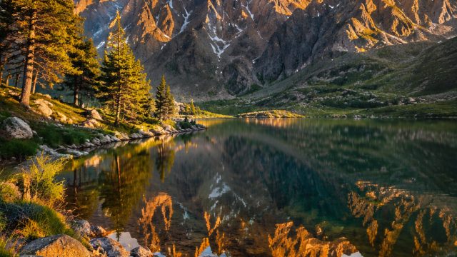 Capturing the Essence of Nature: The Role of Photography in Interior Design | gilapoker, rtp taktik88, gambling slot machines online, shohoku jersey, uji4d slot