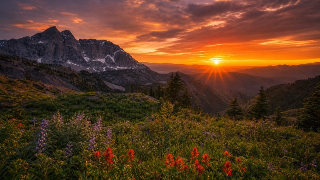 Captivating Nature: Wallpapers That Transform Your Screen | euro 2020 score predictions, bendera hakim garis sepak bola, kendipoker online
