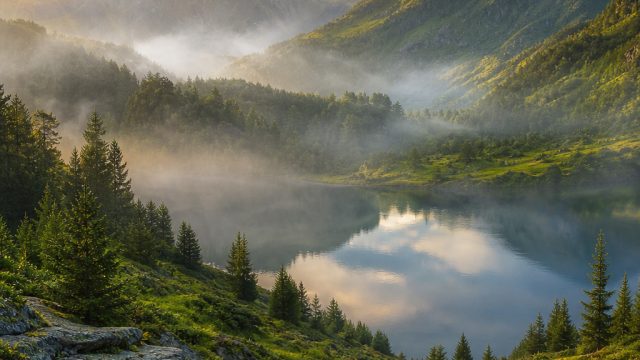 Captivating Nature: A Journey Through Lush Landscapes | situs ceriaslot, server pokerv, slot macau88
