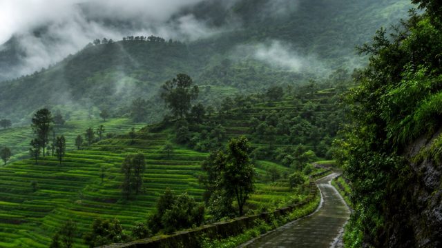 Discover the Enchantment of India's Monsoon Landscapes | f1 game gratis, mitra togel, ggbet188 login, deposit gopay 10000