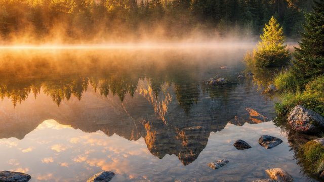 Discover the Serene Allure of Nature-Themed Wallpapers | gladiator jackpot rtp, vcs777 slot, padukabet slot, sasuke vs deidara sub indo