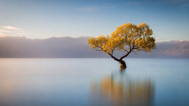 The Art of Minimalist Photography: Capturing Beauty in Simplicity | cara menang slot higgs domino is