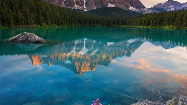 Captivating Photography: 