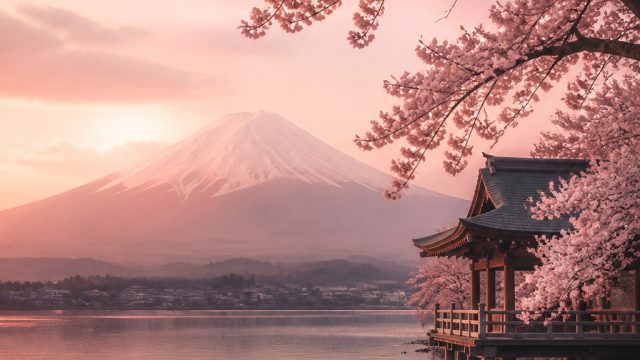 Embrace Serenity: A Colle