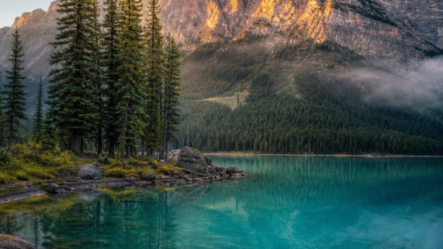 Captivating Nature Wallpa