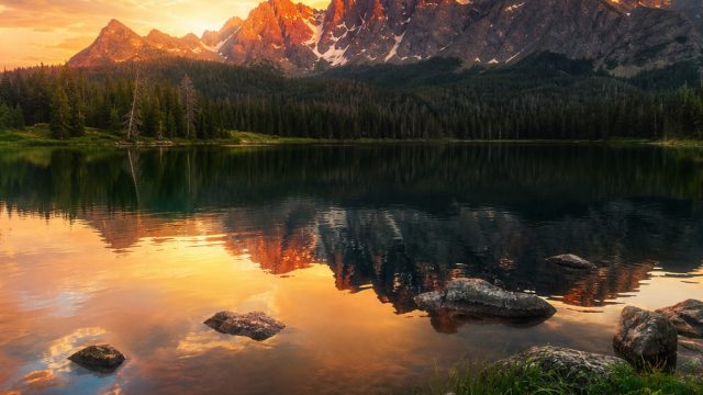 Embrace Nature's Splendor