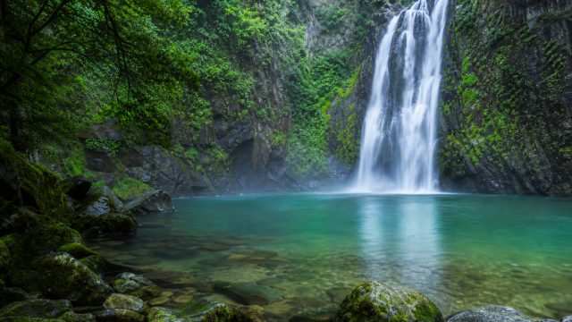 Discover the Serenity of 