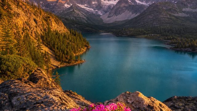 Revitalize Your Screens with Stunning Nature Wallpapers | megawin188, casino sign up bonus no deposit, fortunabola188