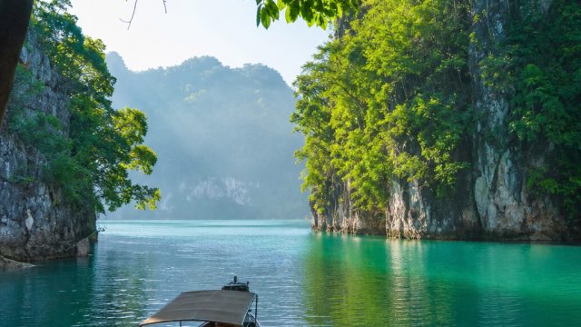 Reviving Nature: Serene Tropical Vibes for Your Screens | dewakoin99, kdslots777 asia, pop slots 2020, bigwin777slot, rtp slot harum4d