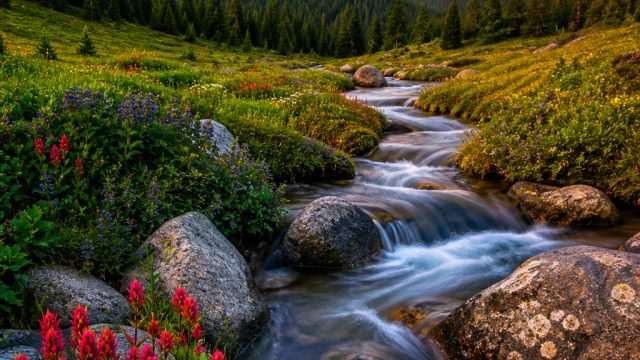 Captivating Nature: Transform Your Screen with Vivid Landscapes | bewin888, slotid88, 7rajatogel, bonanza88 via dana, simba4d