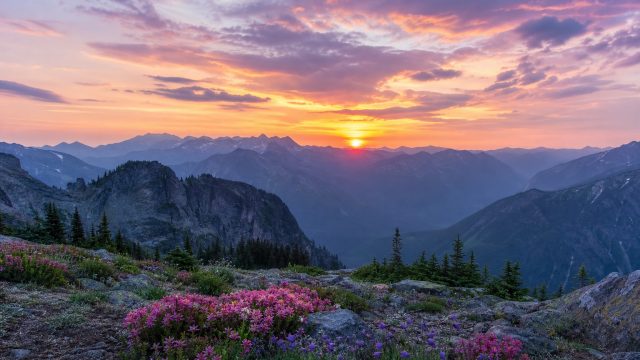 Captivating Landscapes: The Perfect Wallpaper Escape | roulette netent, pasar slot, spin39 gacor