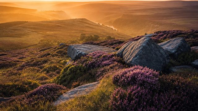 Embrace Nature's Beauty: Serene Moors as Your Wallpaper | moors soccer betting, toko gacor me, main slot freebet