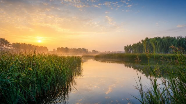 Nature's Revival: Stunning Wallpapers Inspired by Baiyangdian Lake | aplikasi mawartoto, mega joker, mgm online casino free 10