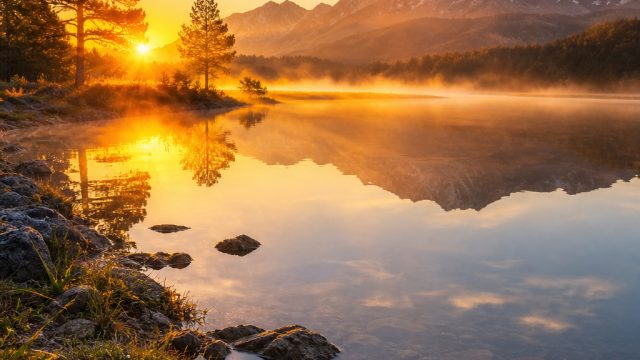Captivating Morning Scenes: Essential Wallpaper for Every Device | betting online slot, stake gates of olympus, cara bermain bola besar, lagu taylor swift speak now