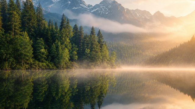 Explore the Serenity of Nature in Stunning Wallpapers | skybet racing, home craps table, video game online gratis, raja gaming88, idn live slot