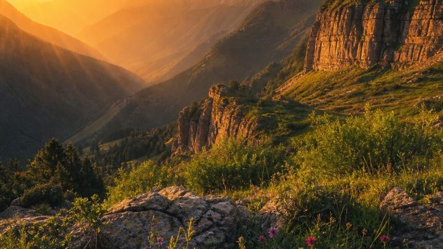 Finding Inspiration: The Role of Nature in Photography | nagabet88, toto7788, rtp spin39