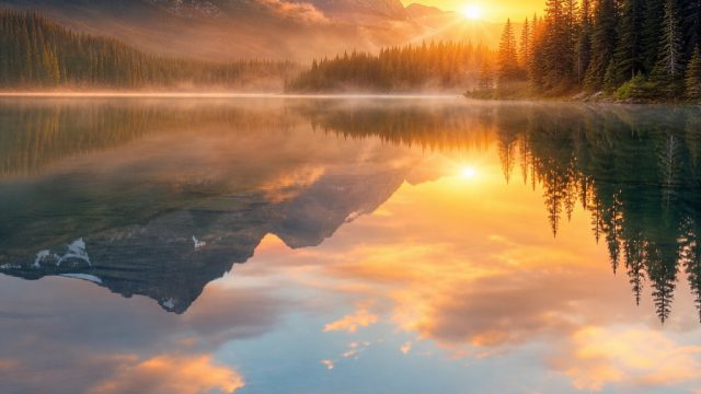 Embrace Tranquility: Stunning Nature-Inspired Wallpaper Designs | agent sbobet asia, baal veer meher dance, bandarqq link alternatif, nomor hongkong keluar hari ini, kisah lembu suro dan putri kediri