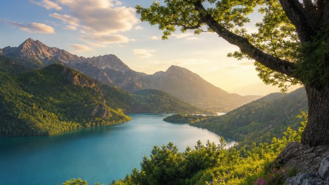 Vibrant Nature Scenes: The Ultimate Background for Your Devices | jammin jars, fish tables gambling, jackpot108