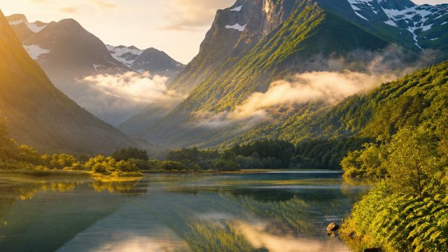 Elevate Your Space with Stunning Nature-Inspired Backgrounds | novibet free bet, my slot 188, venom77 slot, dewa234 link alternatif, link 286 slot