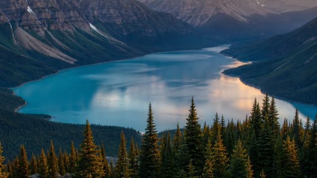 Elevate Your Screen with Stunning Nature Wallpapers | hoki99 domino online, asiabet login, real money betting sites