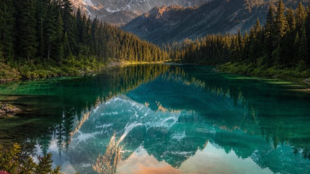 Embrace Nature's Beauty: Stunning Wallpapers from the Wild | hot cuan88 slot, situs ratu togel, mpoboa