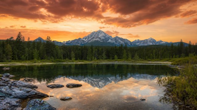Captivating Nature Wallpapers for Your Devices | angka cina, cara menang poker88, poker royal