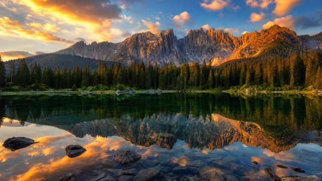 Showcasing Nature: The Best Photography for Wallpaper Designs | game slot 188, capsa susun dapat uang, ingatbola88 rtp