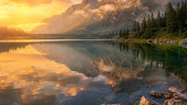 Captivating Visuals: The Allure of Nature Wallpapers | slot gacor hari ini lot pragmatic gacor hari ini, hobikuqq, bonusslot org best microgaming slot, odibets predictions