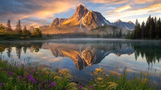 Captivating Nature: The Allure of Scenic Wallpaper for Your Screens | the best online casino for rou