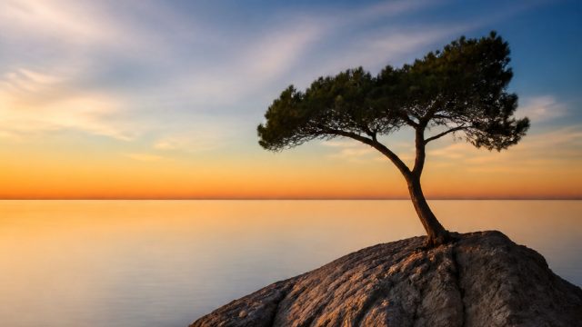 Captivating Minimalism: Stylish Wallpapers for Modern Devices | 258 slot, permainan remi kartu online, indobet ku, batuk pijat bagian mana