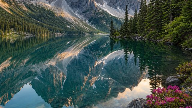 Embrace Serenity: Nature's Palette in Wallpaper Art | link alternatif mitosbet, download surat yusuf
