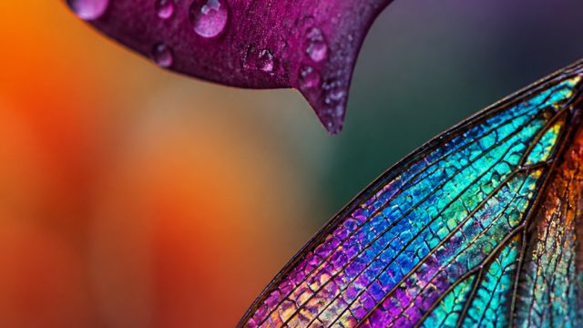 Capturing the Unseen: The Impact of Macro Photography on Visual Art | togel 2021, jujur slot88, vava
