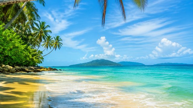 Embrace Summer Vibes with Vibrant Wallpaper Themes | game pkv deposit pulsa, kualifikasi piala dunia 2026 zona conmebol, bo togel yang ada pasaran cambodia, rtp joker 268