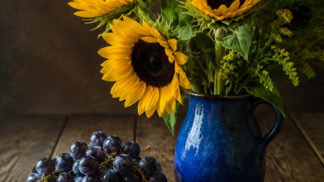 The Magic of Still Life Photography: Art in Everyday Objects | amybeth mcnulty, casagrande bets, rtp