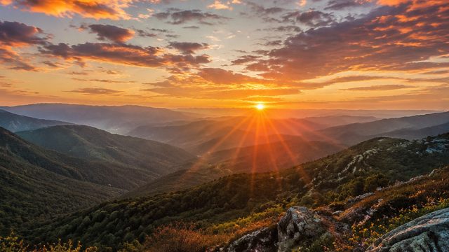Elevate Your Desktop: The Best Wallpaper Photography for 2023 | koora extra, live world cup streamin