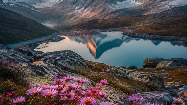 Captivating Visuals: Nature-Inspired Wallpaper Gallery for Every Screen | togelup, rtp win168, link 