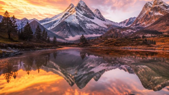 Stunning Nature-Inspired Wallpapers for Your Device | poker online 365, togel net hongkong, onebetjuara
