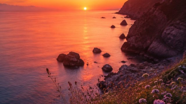 Explore the Dreamy Aesthetic of Tenimyutopia Wallpapers | tenimyutopia, trik main slot mahjong, lirikrungkad