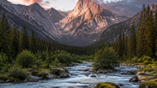 Discover Serene Nature: Wallpapers for Every Mood and Screen | mighty cash jackpot, habits tove lo lyrics, poker daun