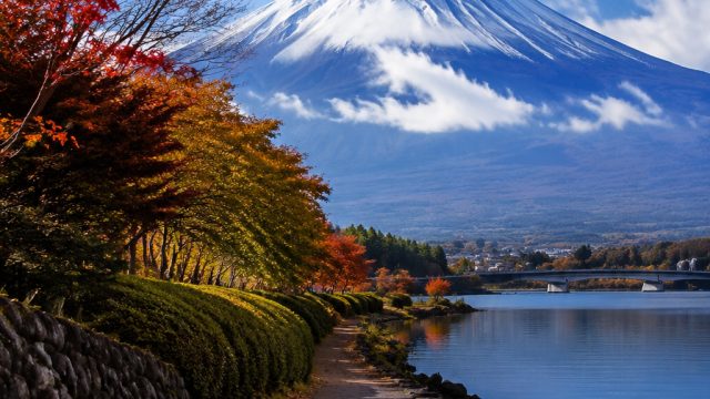 Captivating Japanese Aesthetics: A Wallpaper Gallery Experience | 777 lucky slots, livechat dewa89, kembar jitu slot