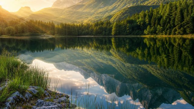 Transform Your Screens with Stunning Nature-Inspired Wallpapers | data 2023 sgp, rtp slot maxwin77, rolex poker88
