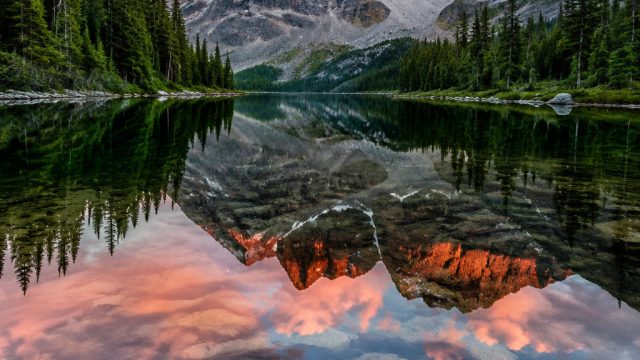 Timeless Tranquility: Unlocking the Beauty of Nature Wallpapers | para raja 777, pyramid king slot, 