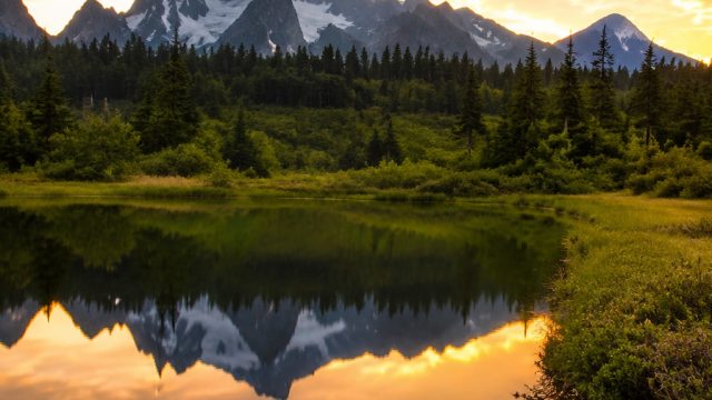 Visual Serenity: The Allure of Contemporary Wallpaper Art | arti ana bansa nafsy, mesin selot, 40 top lagu barat terbaru 2021, link alternatif ign88, free gambling